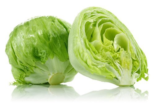 Fresh Lettuce Iceberg