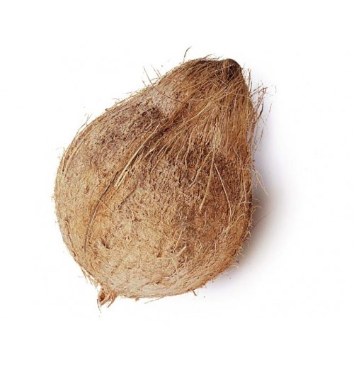 Coconut Per Pcs