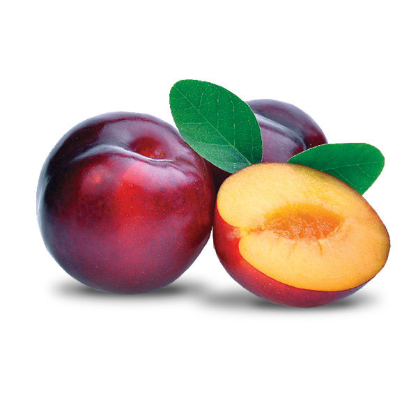 Fresh Plum 500 Gm