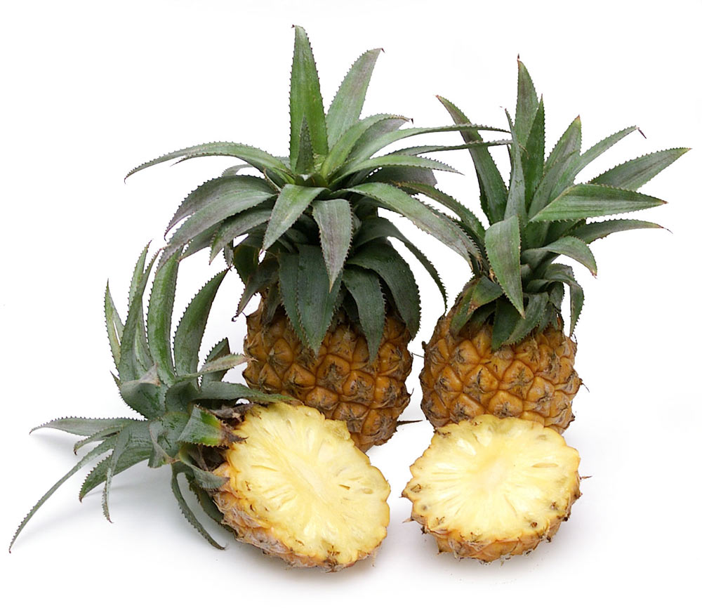 Baby Pineapple 1 Pcs
