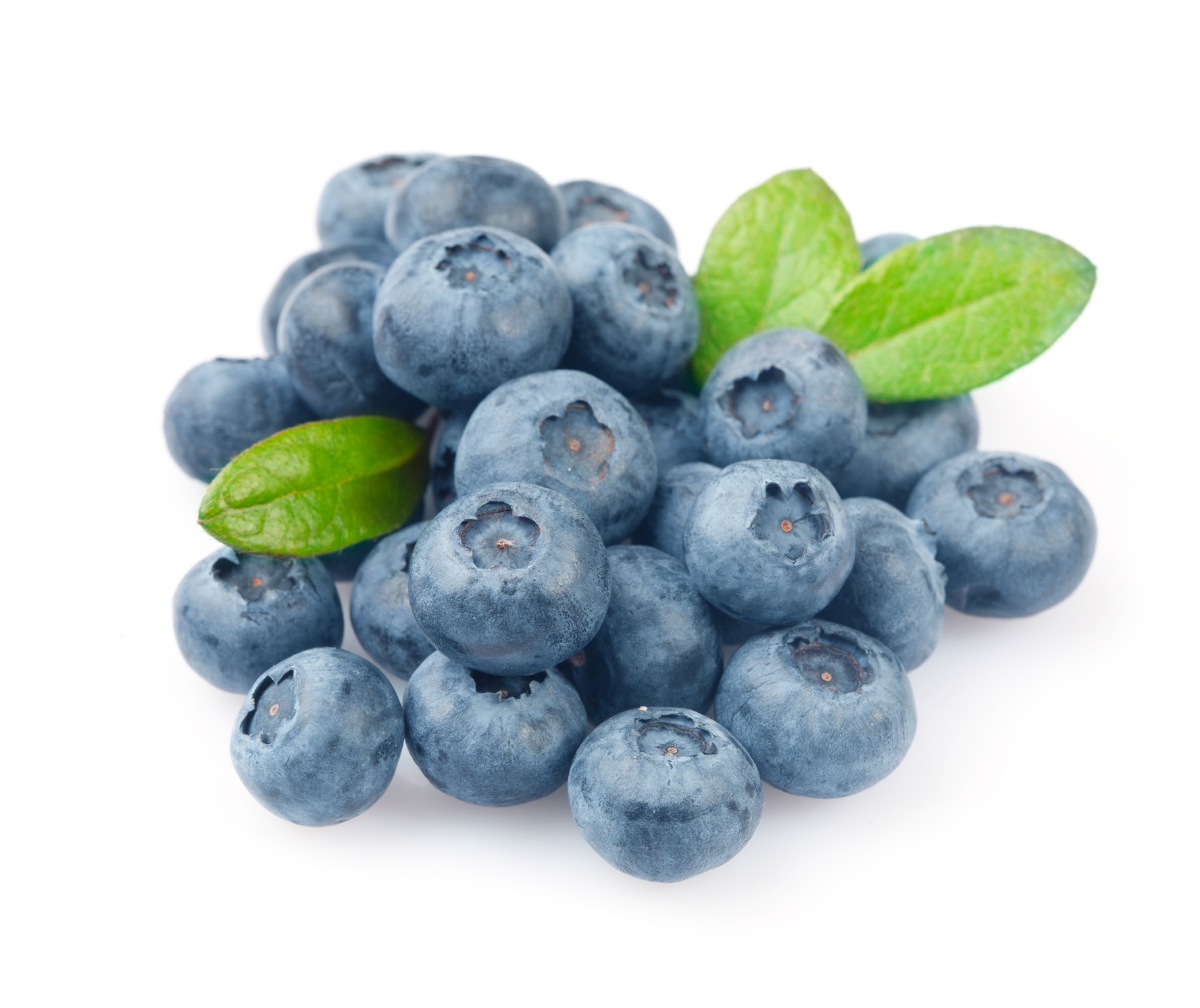 Fresh Blueberry 100 Gm
