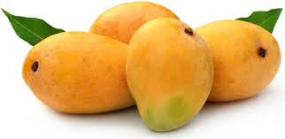 Alphonso Mango 1 Kg
