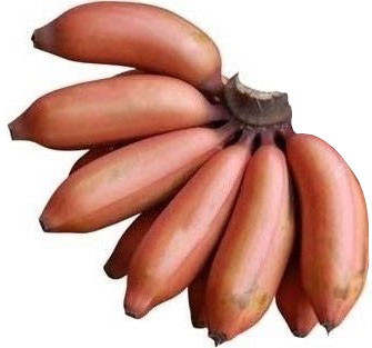 Red Banana 12 Pcs (One Dozen)