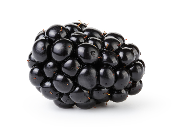 Fresh Black Berry 250 Gm