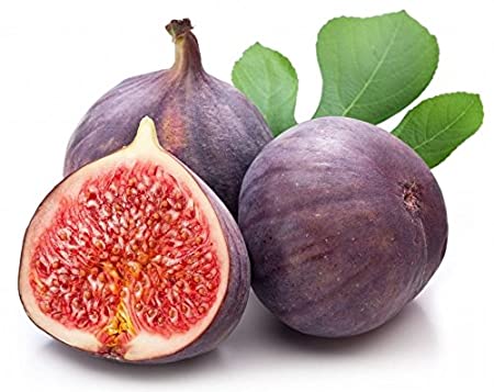  Fresh Fig 250 Gm