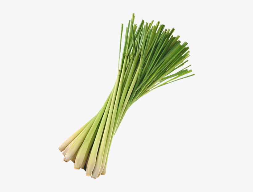 Lemon Grass