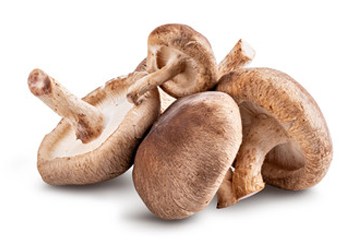 Sitak Mushroom Fresh 1Kg