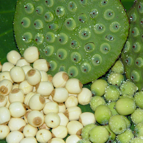 Lotus Seed Fresh 1Kg